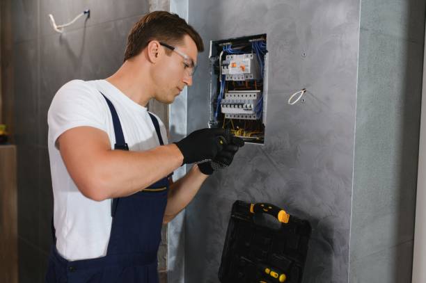 Best Electrical System Inspection  in Mills River, NC