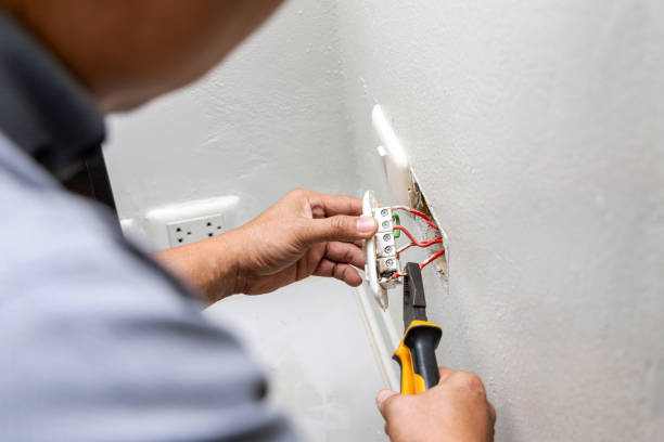 Best Electrician for Home Renovation  in Mills River, NC